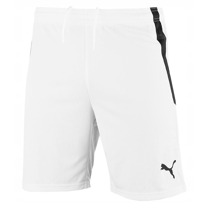 Pants Puma Teamliga S11878